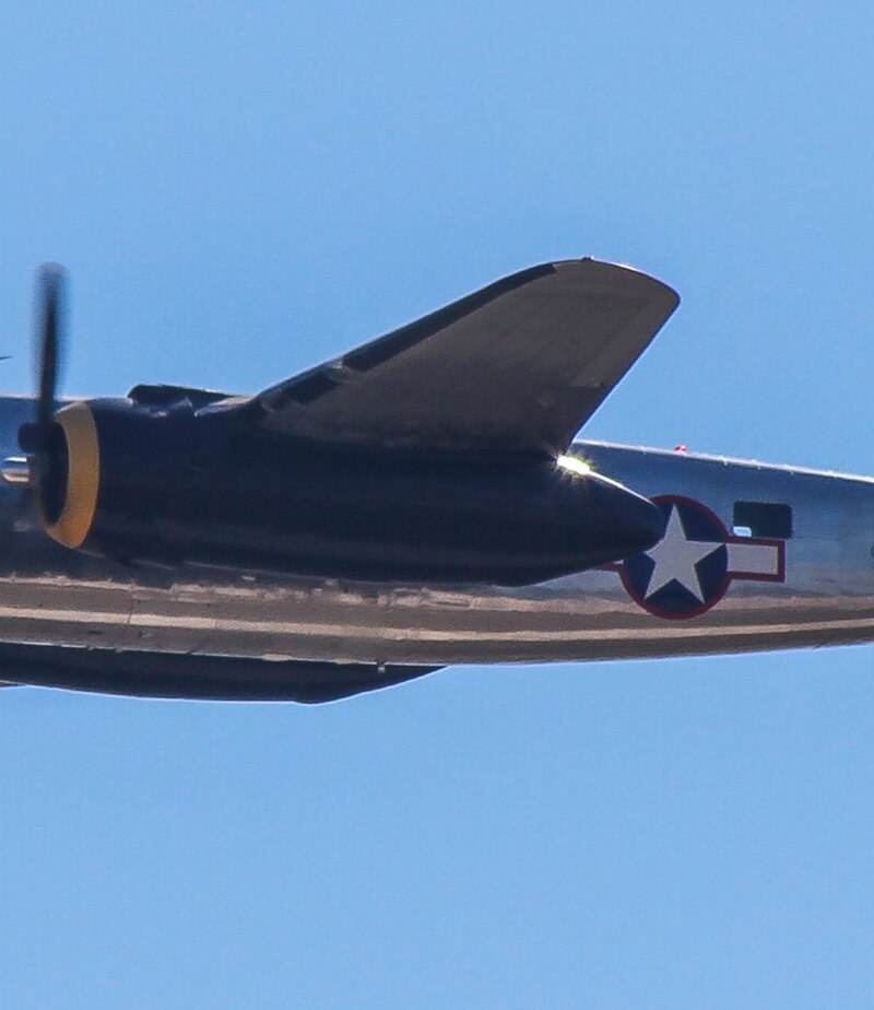  - Warbird