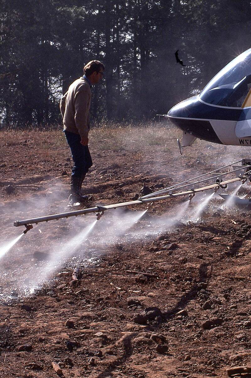 N2917W - Helicopter