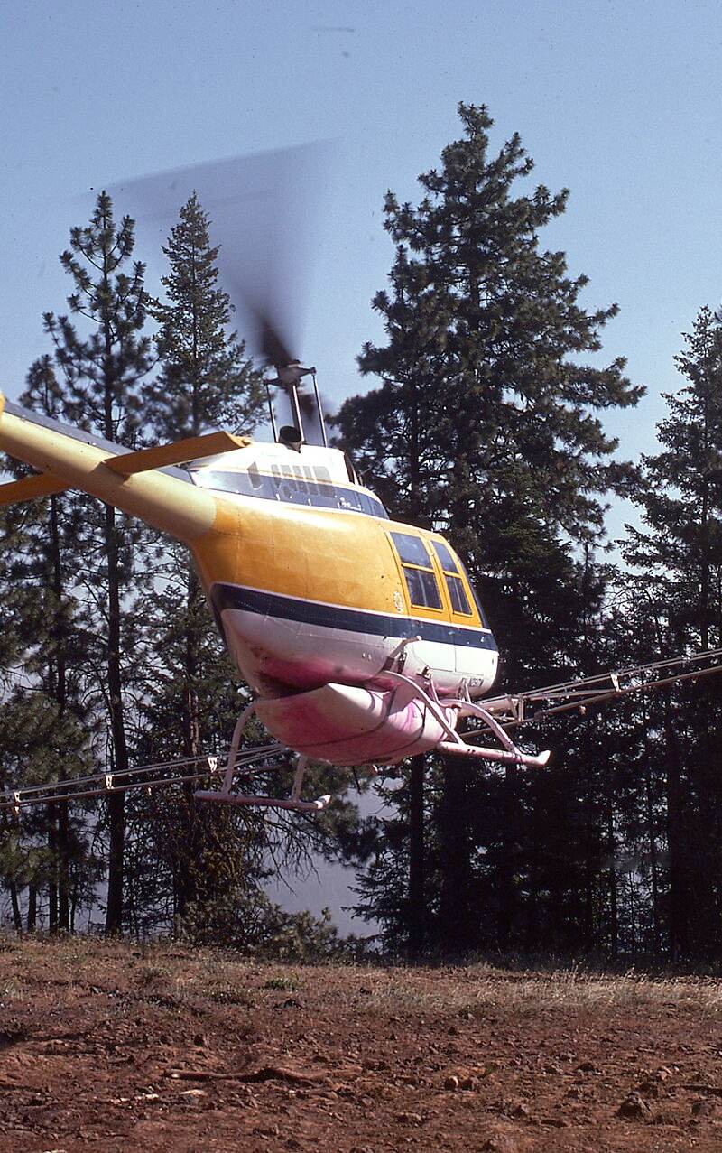 N2917W - Helicopter