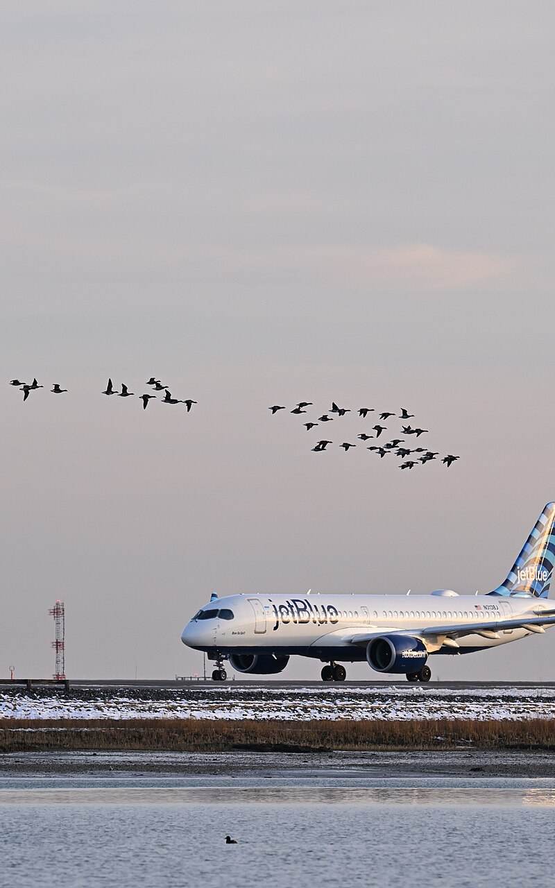 N3138J - Aircraft