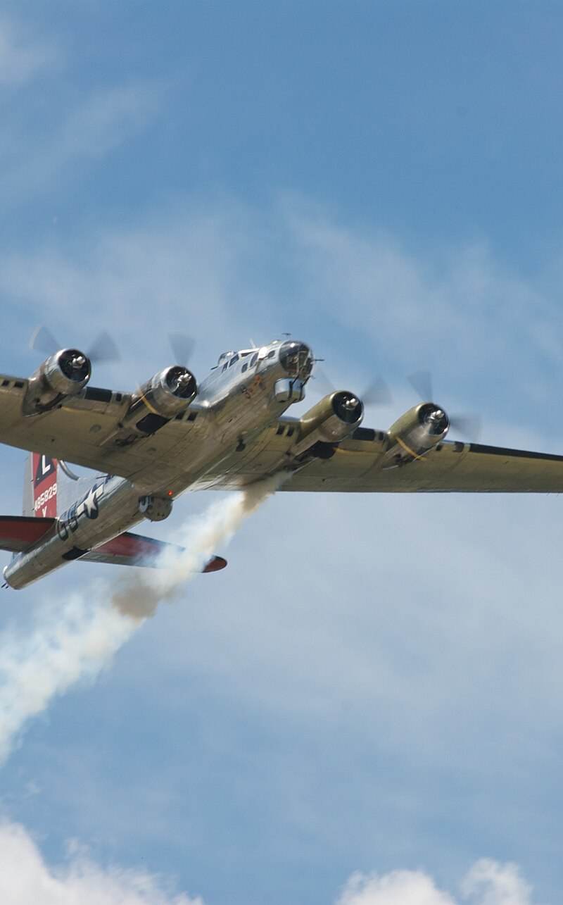  - Warbird
