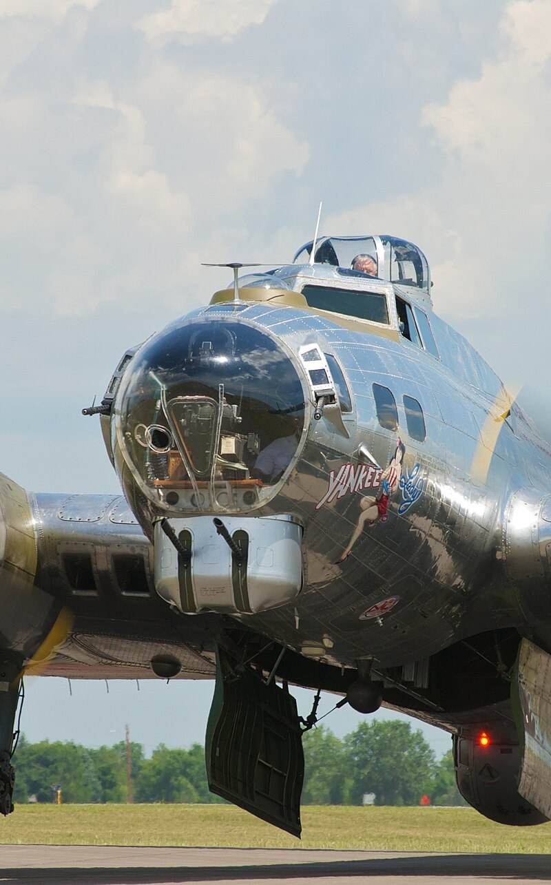  - Warbird