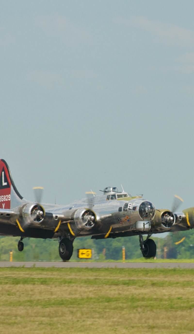  - Warbird