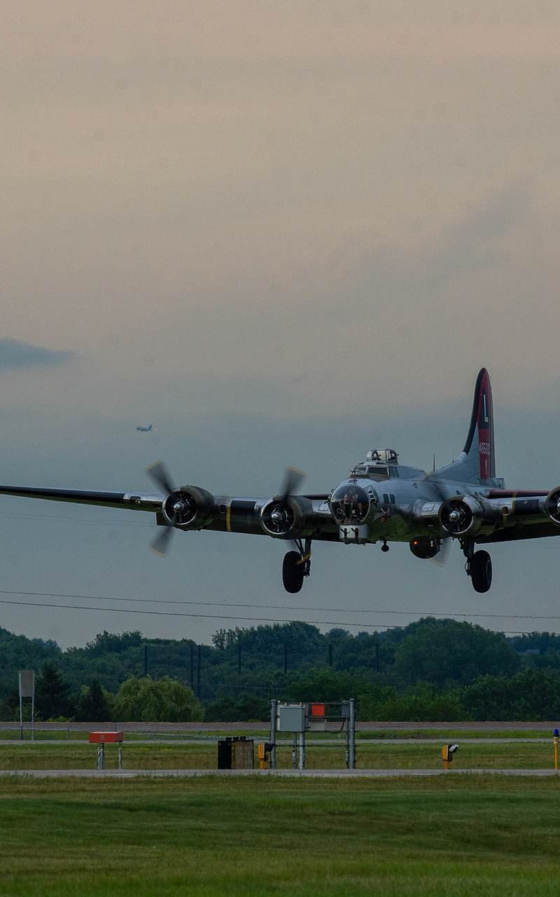  - Warbird