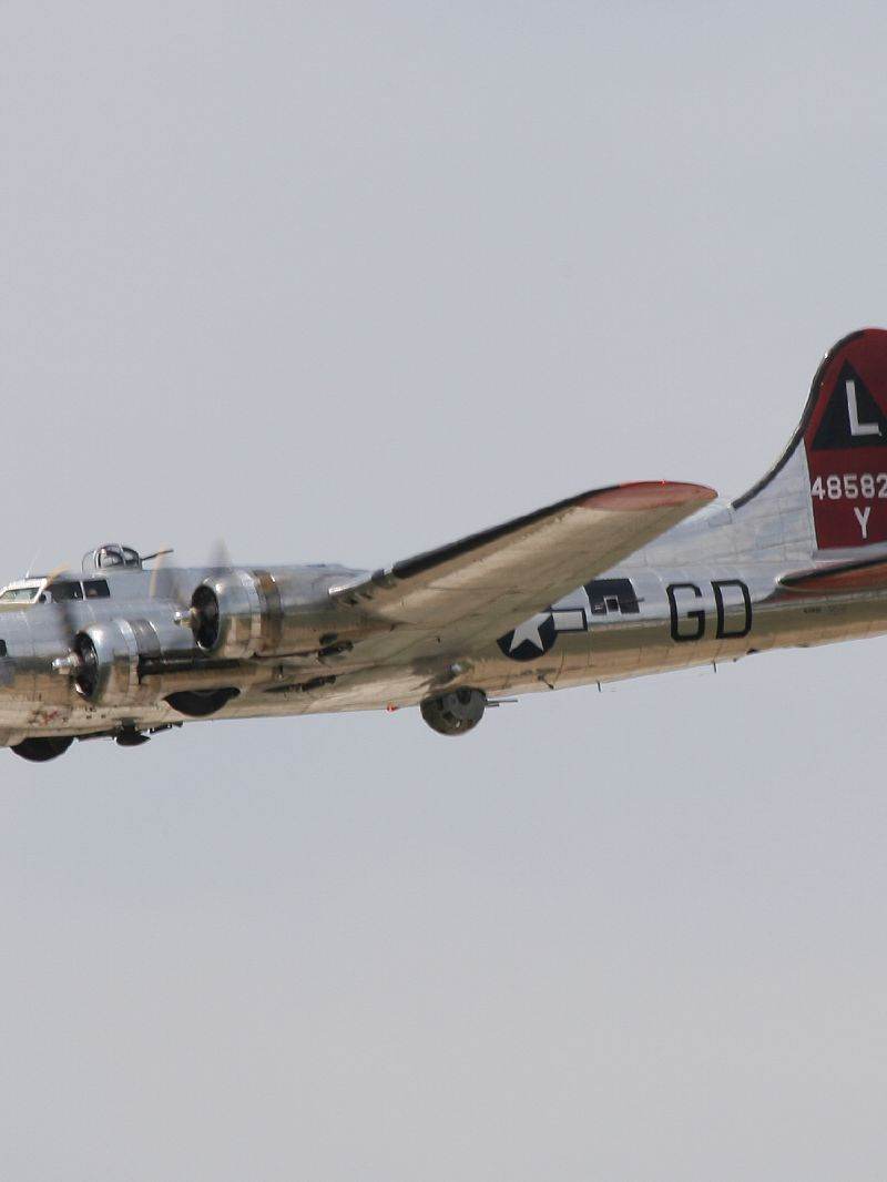  - Warbird