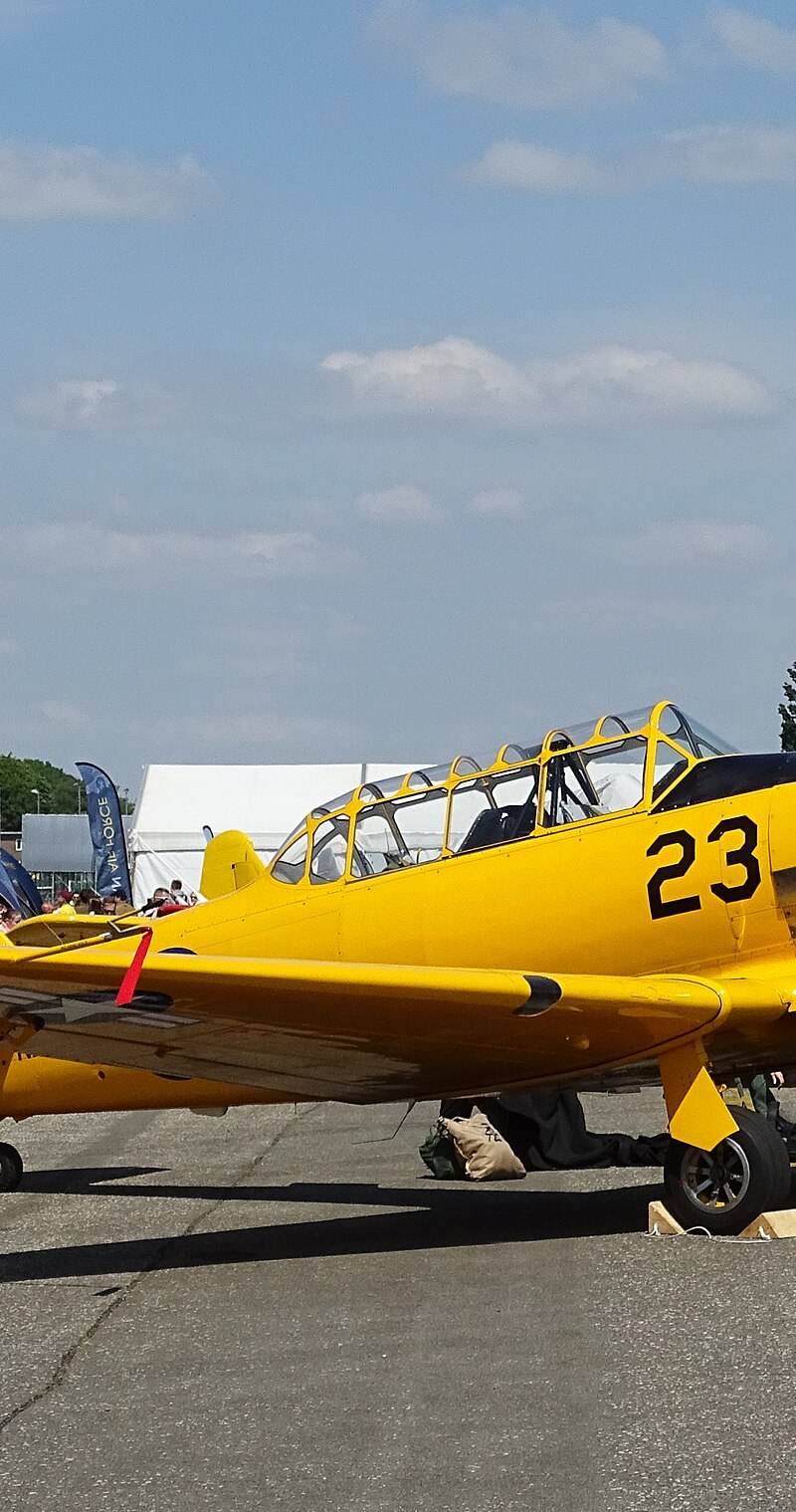 N3286 - Warbird