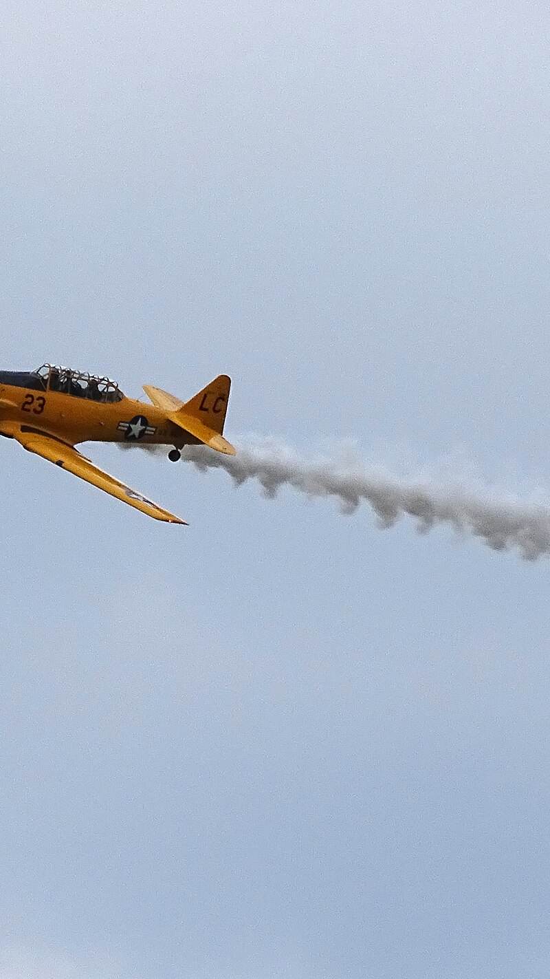N3286 - Warbird