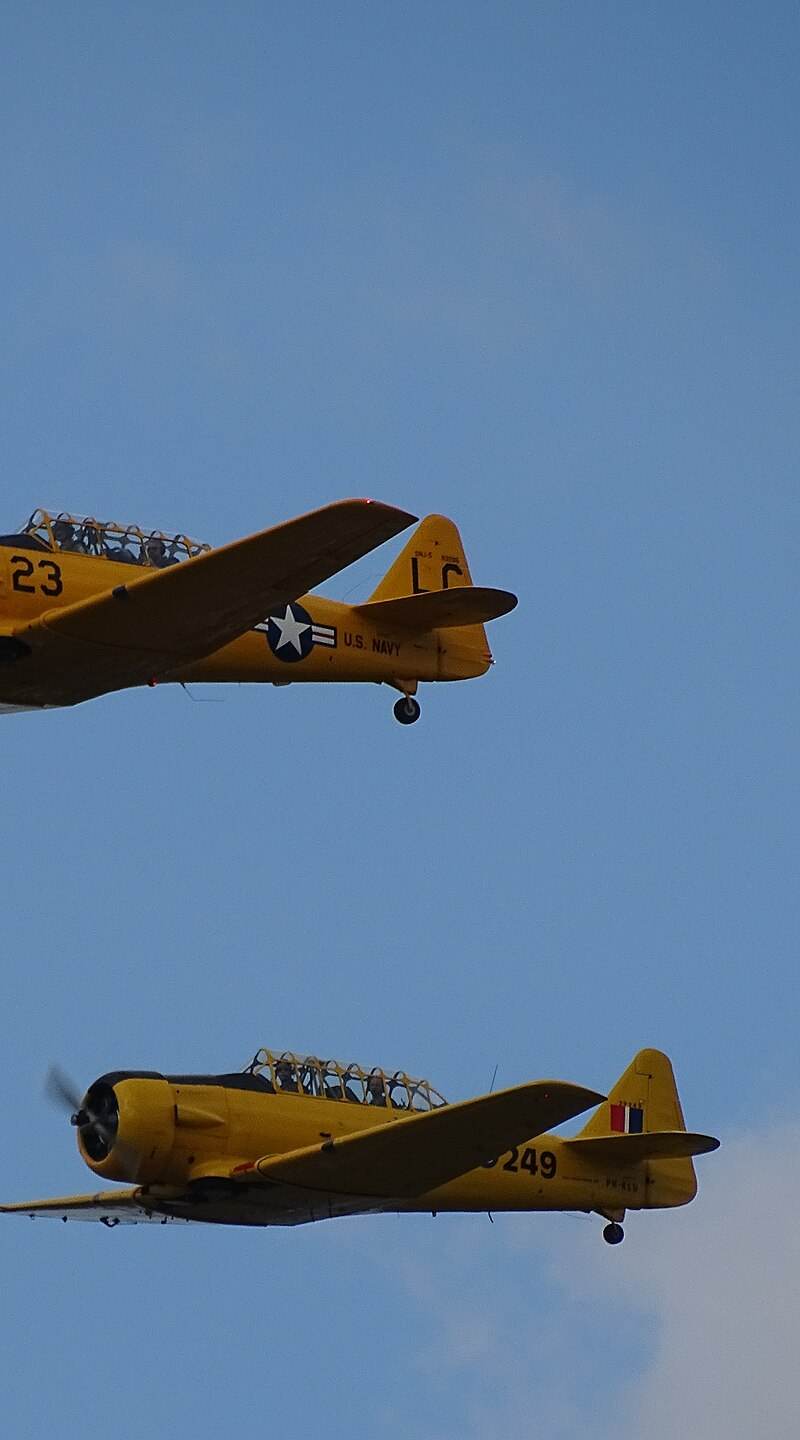 N3286 - Warbird