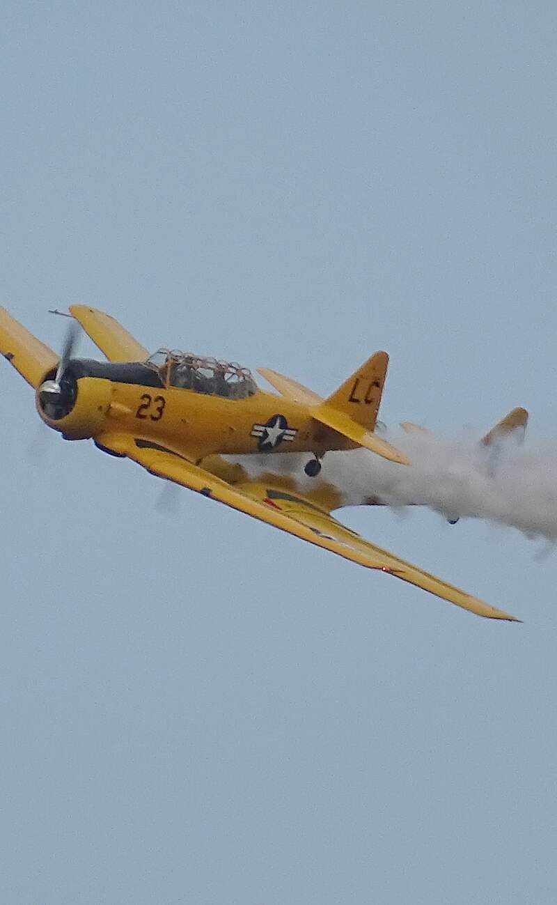 N3286 - Warbird