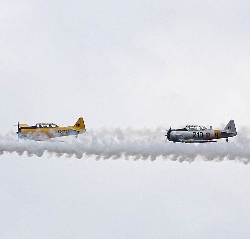 N3286 - Warbird