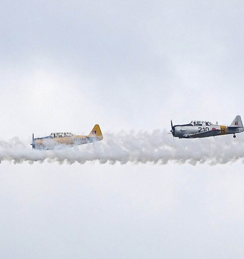 N3286 - Warbird