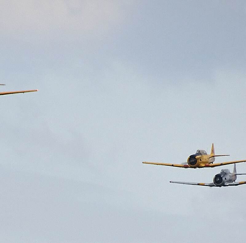 N3286 - Warbird