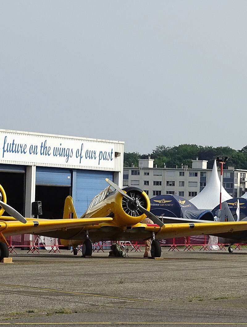 N3286 - Warbird