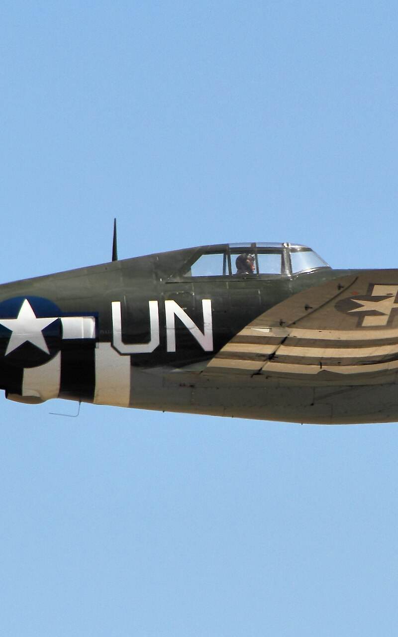  - Warbird