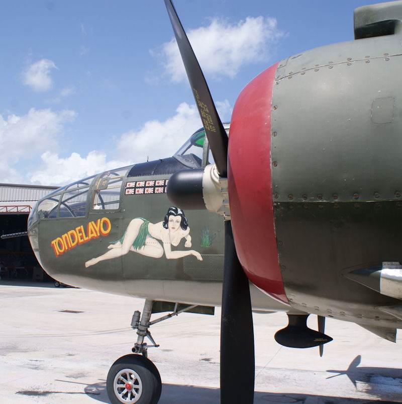  - Warbird