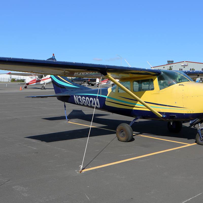 N3602U - Single-engine aircraft