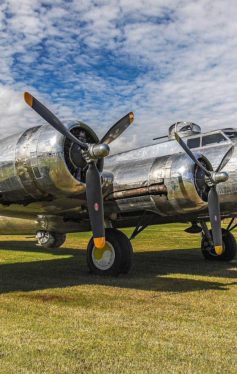  - Warbird