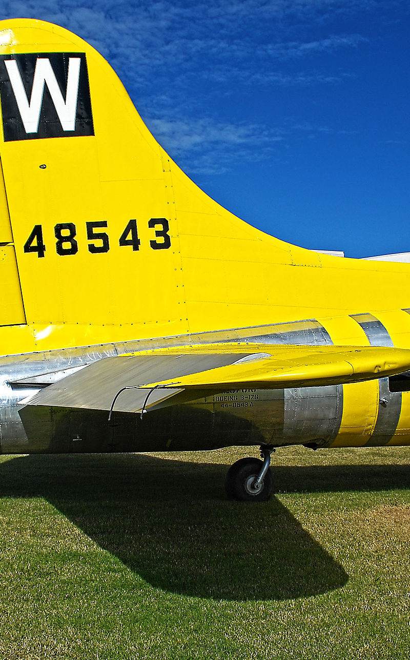  - Warbird