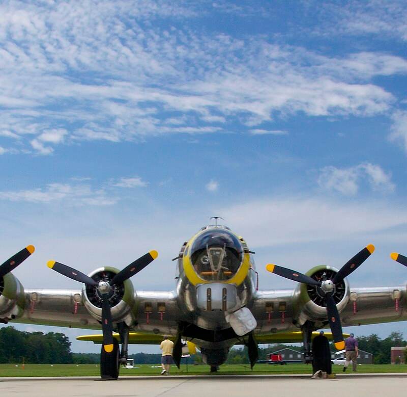  - Warbird