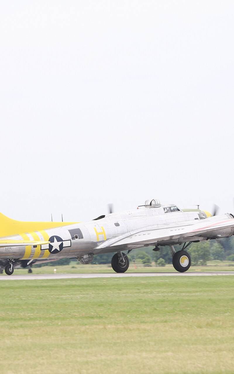  - Warbird