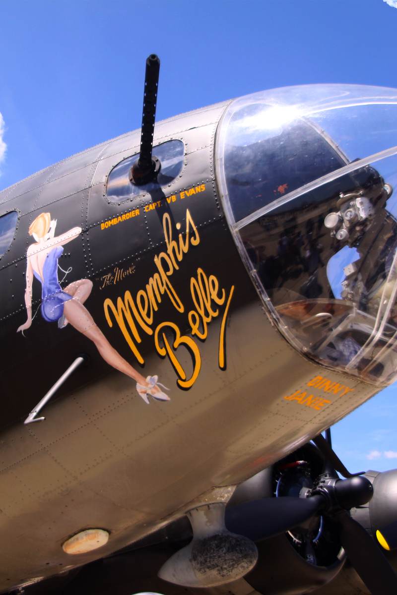  - Warbird