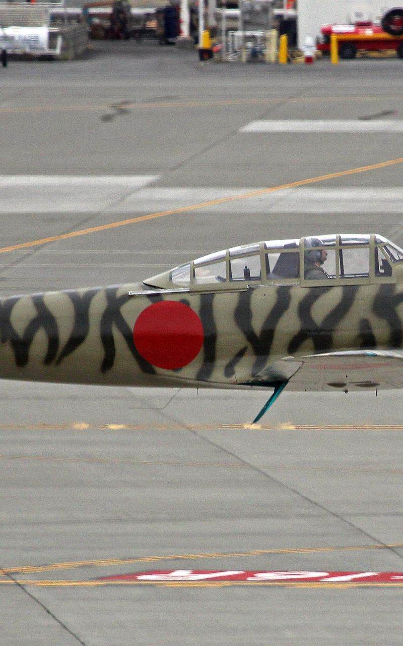 N3852 - Warbird