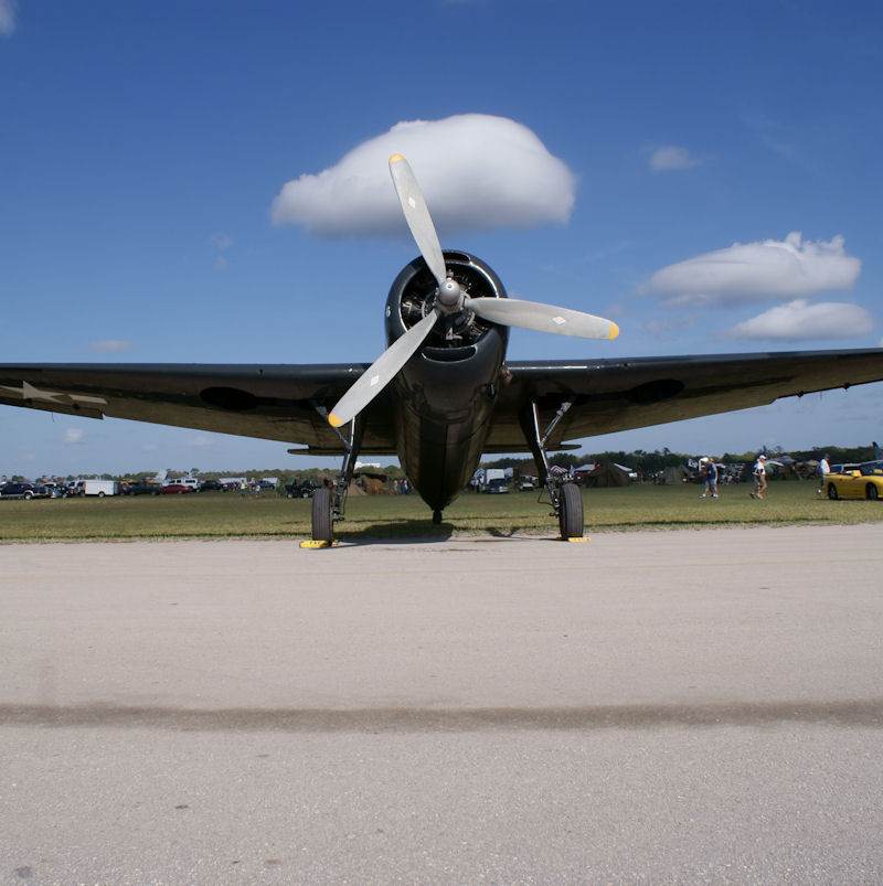 N3969A - Warbird