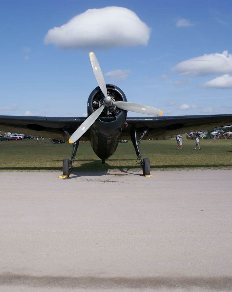 N3969A - Warbird