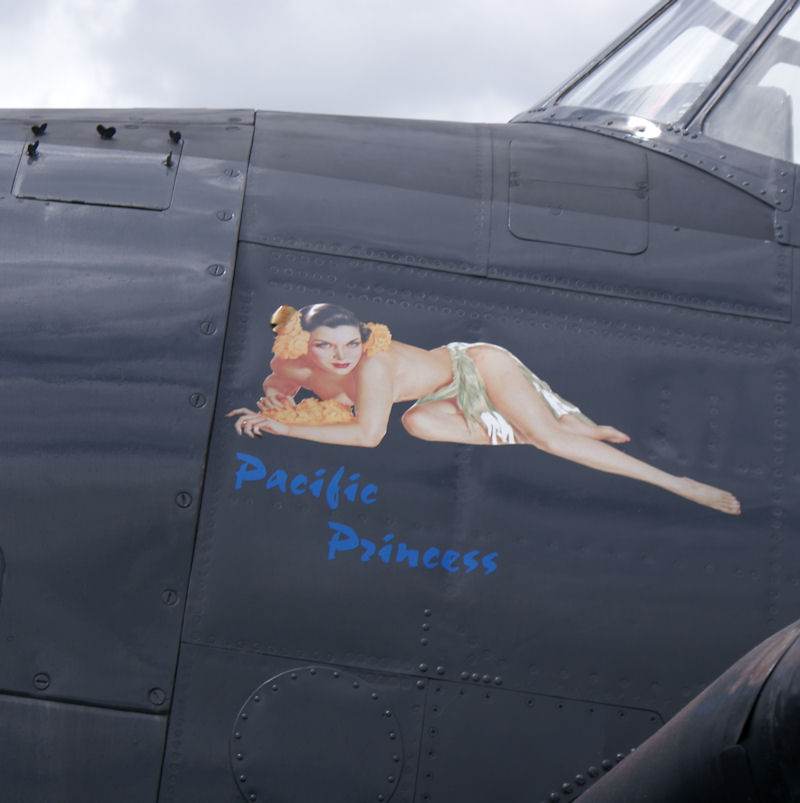  - Warbird