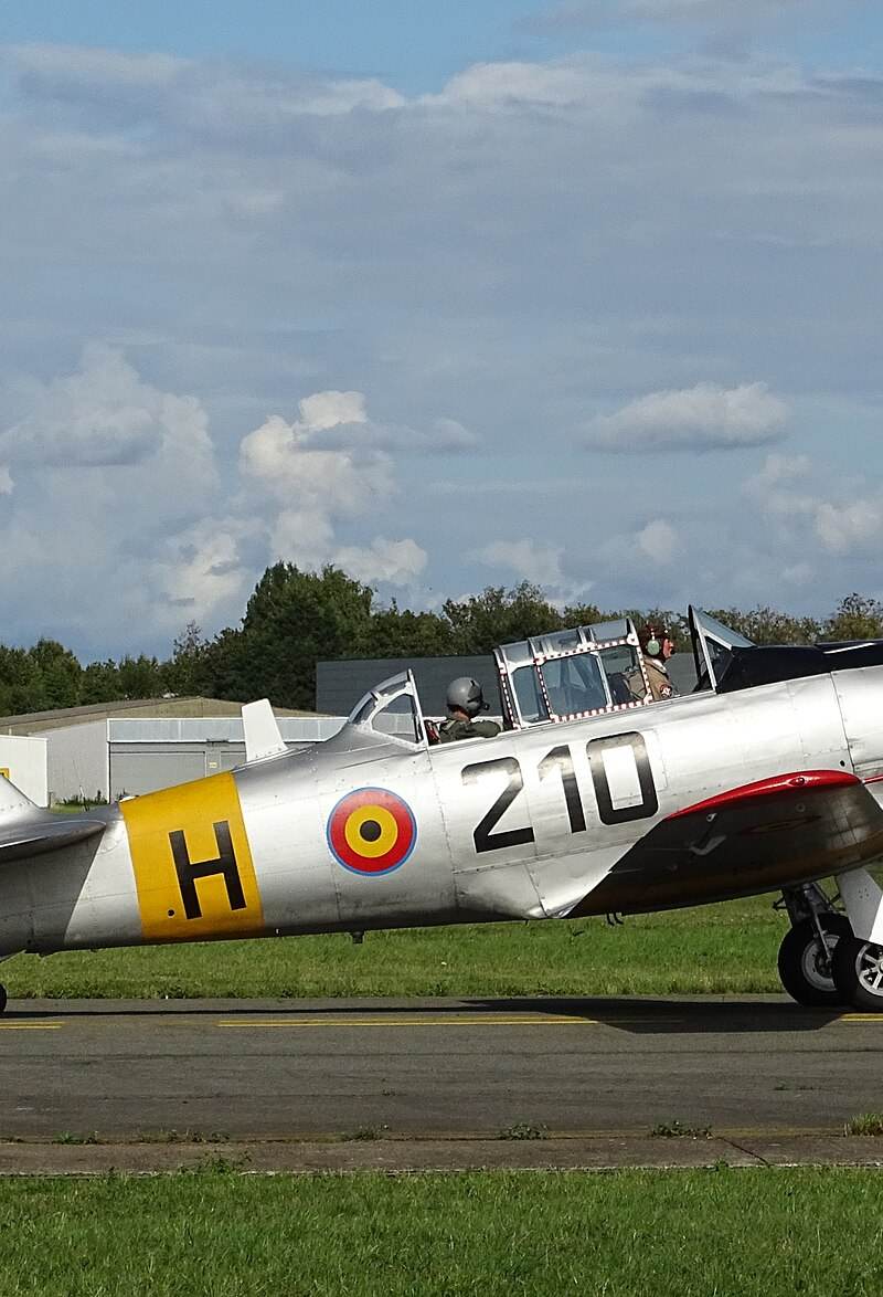 N4109C - Warbird