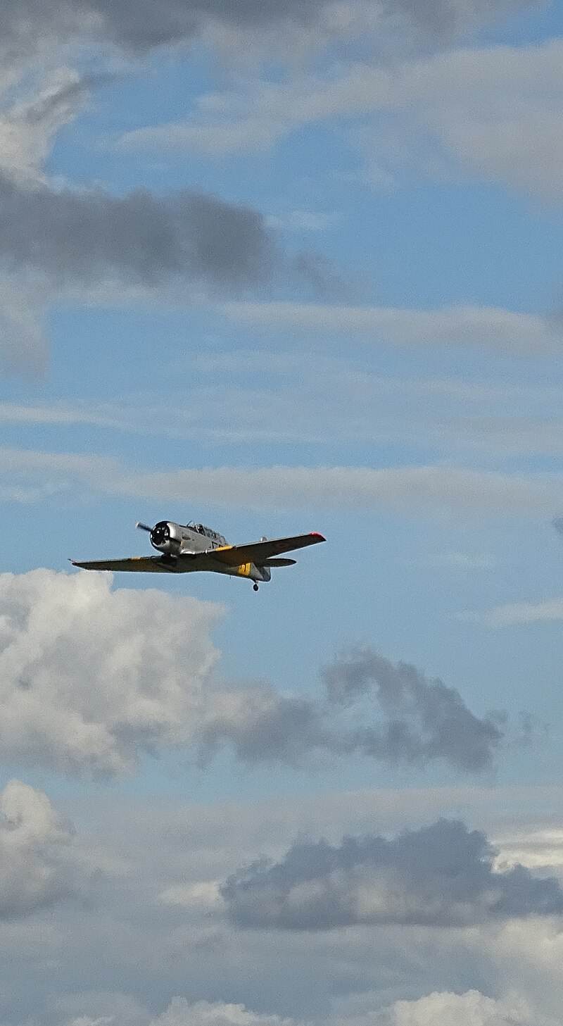 N4109C - Warbird