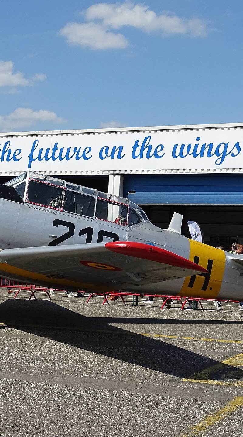 N4109C - Warbird