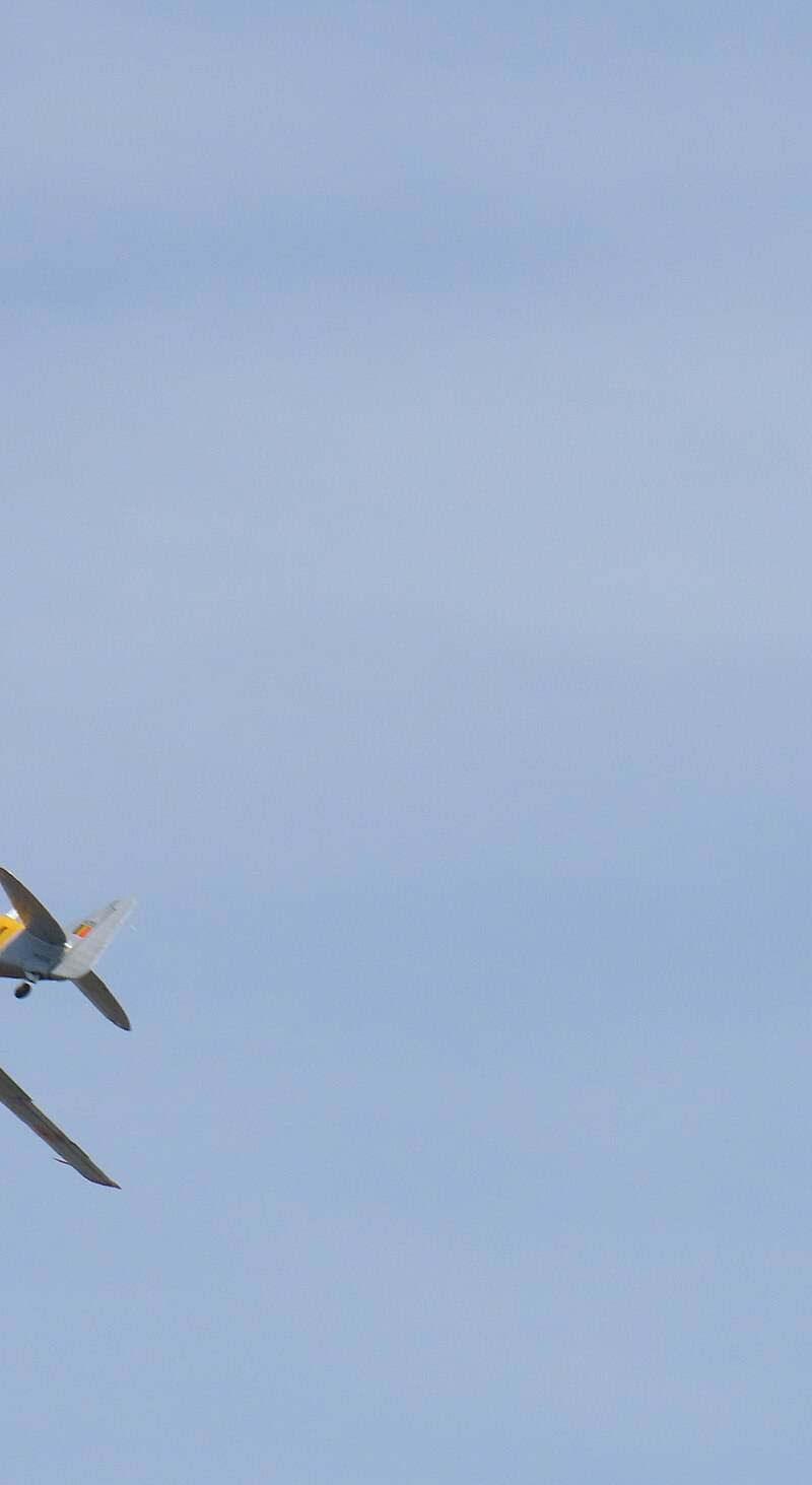 N4109C - Warbird