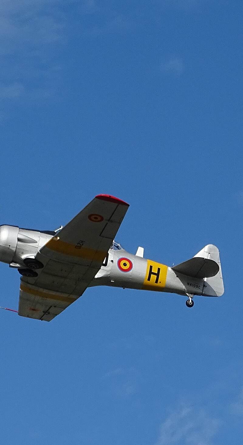 N4109C - Warbird