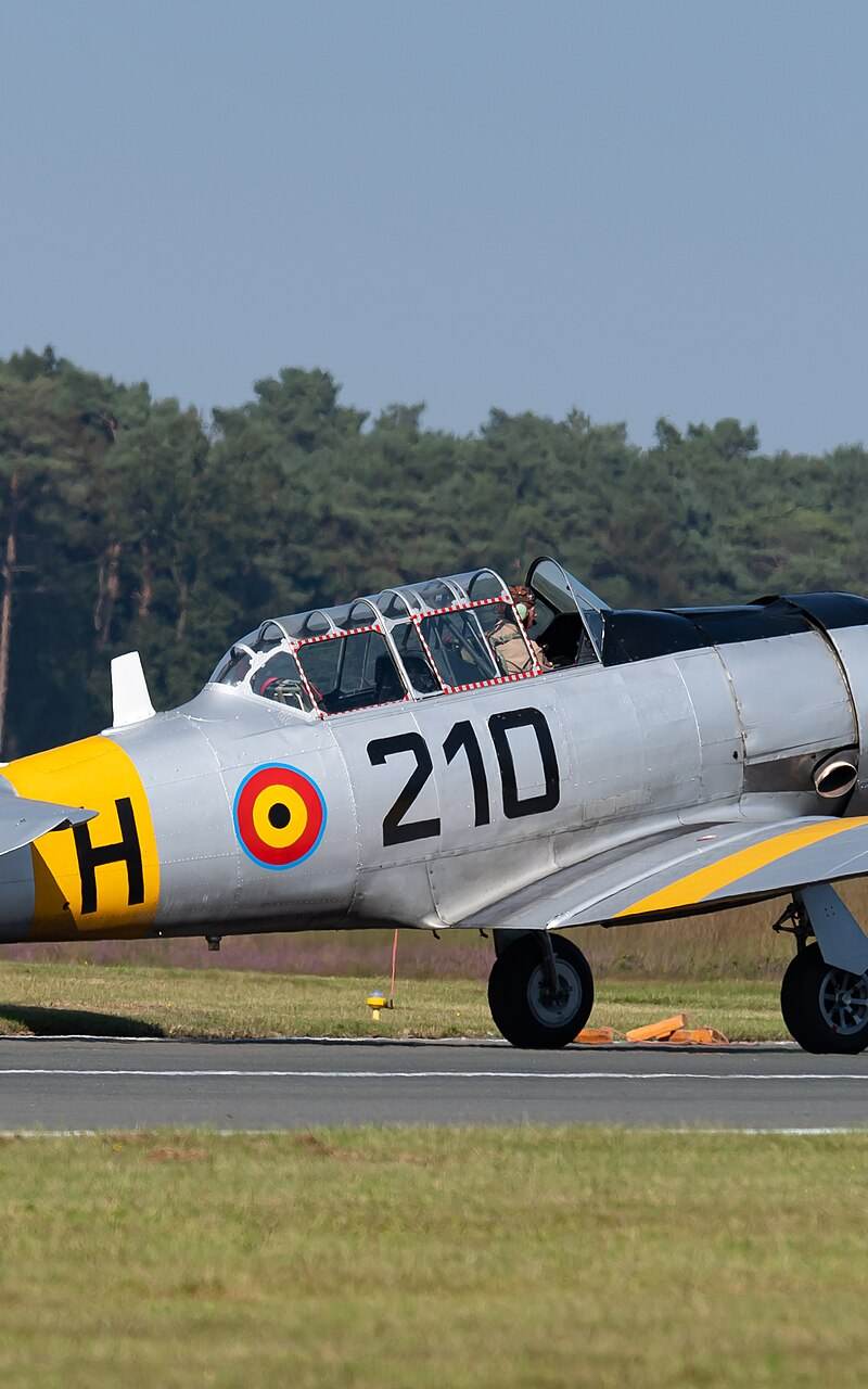N4109C - Warbird