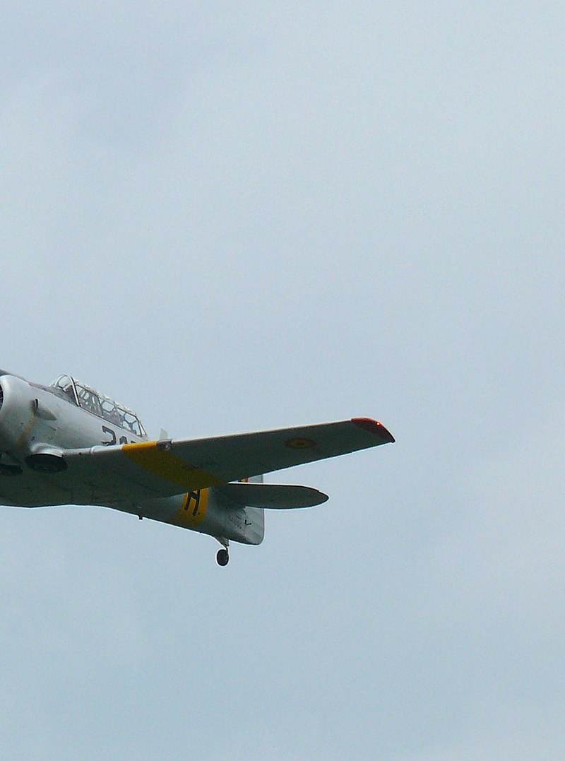 N4109C - Warbird