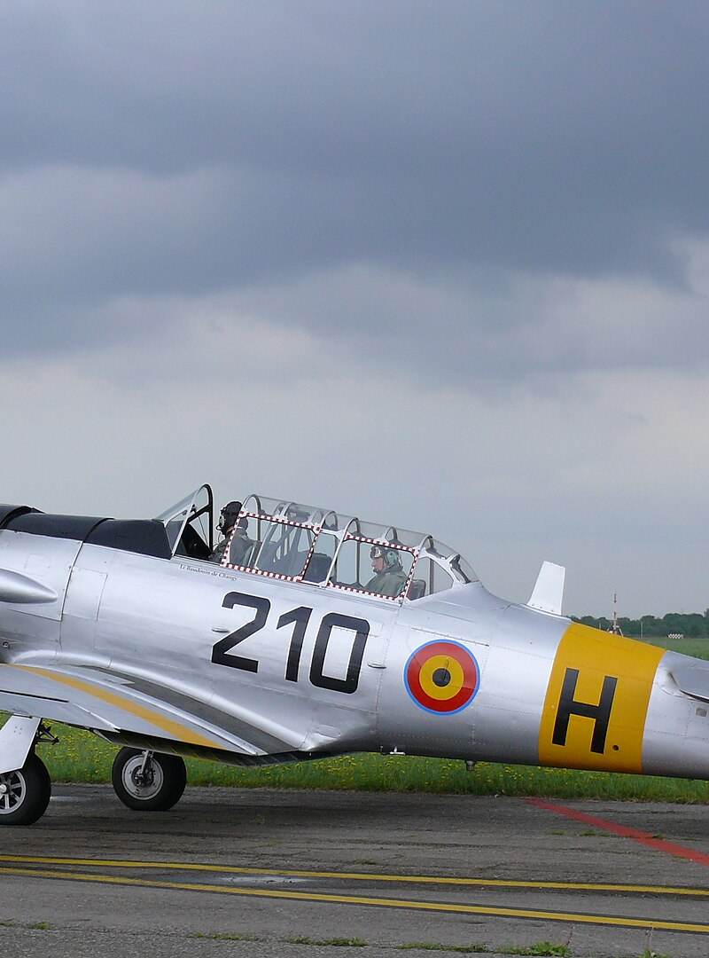 N4109C - Warbird