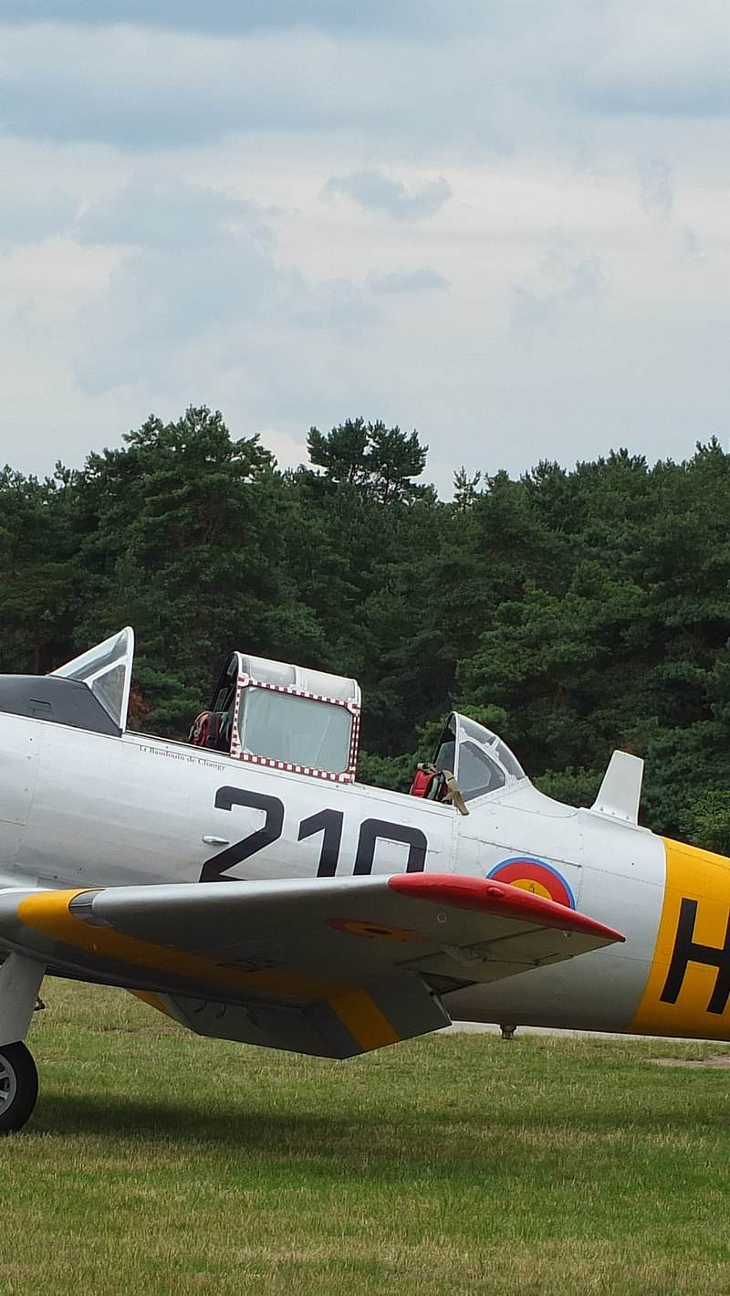 N4109C - Warbird