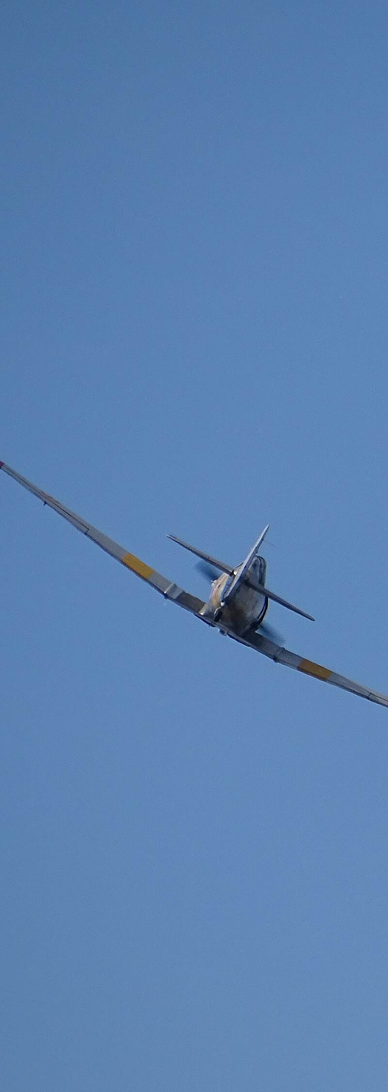 N4109C - Warbird