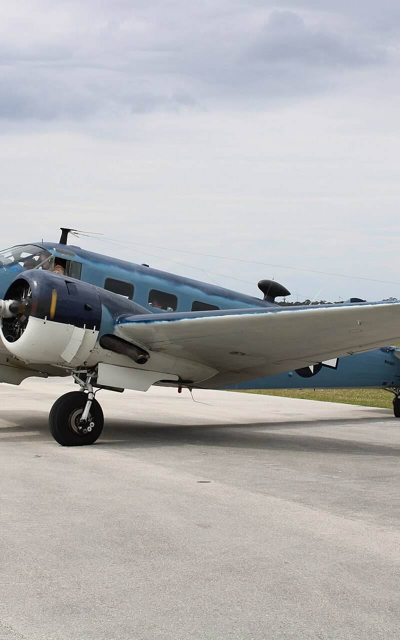 N4207 - Beech