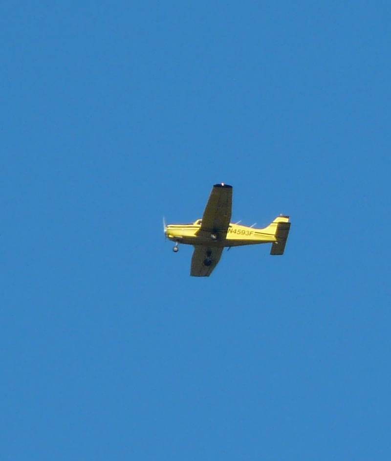 N4593F - Single-engine aircraft