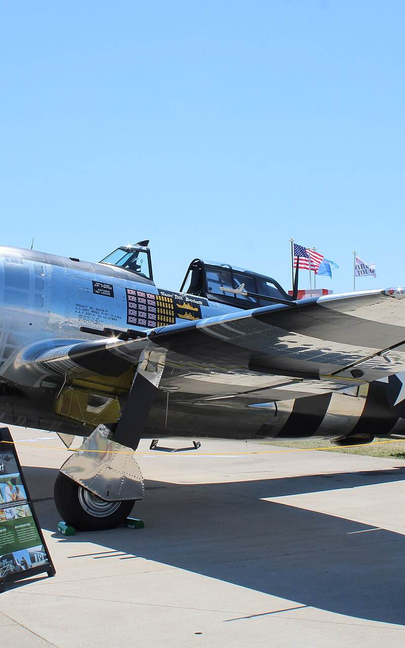  - Warbird