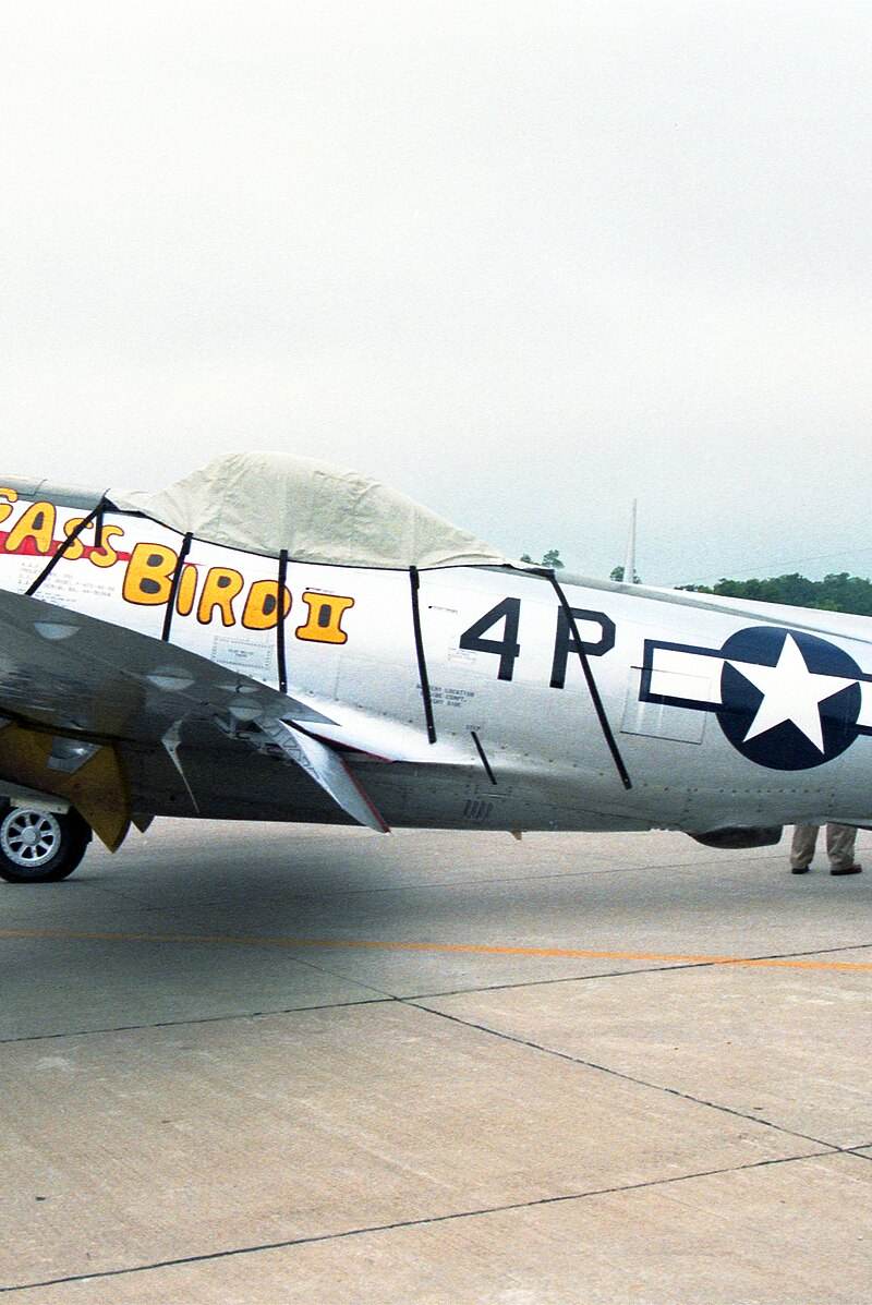 - Warbird