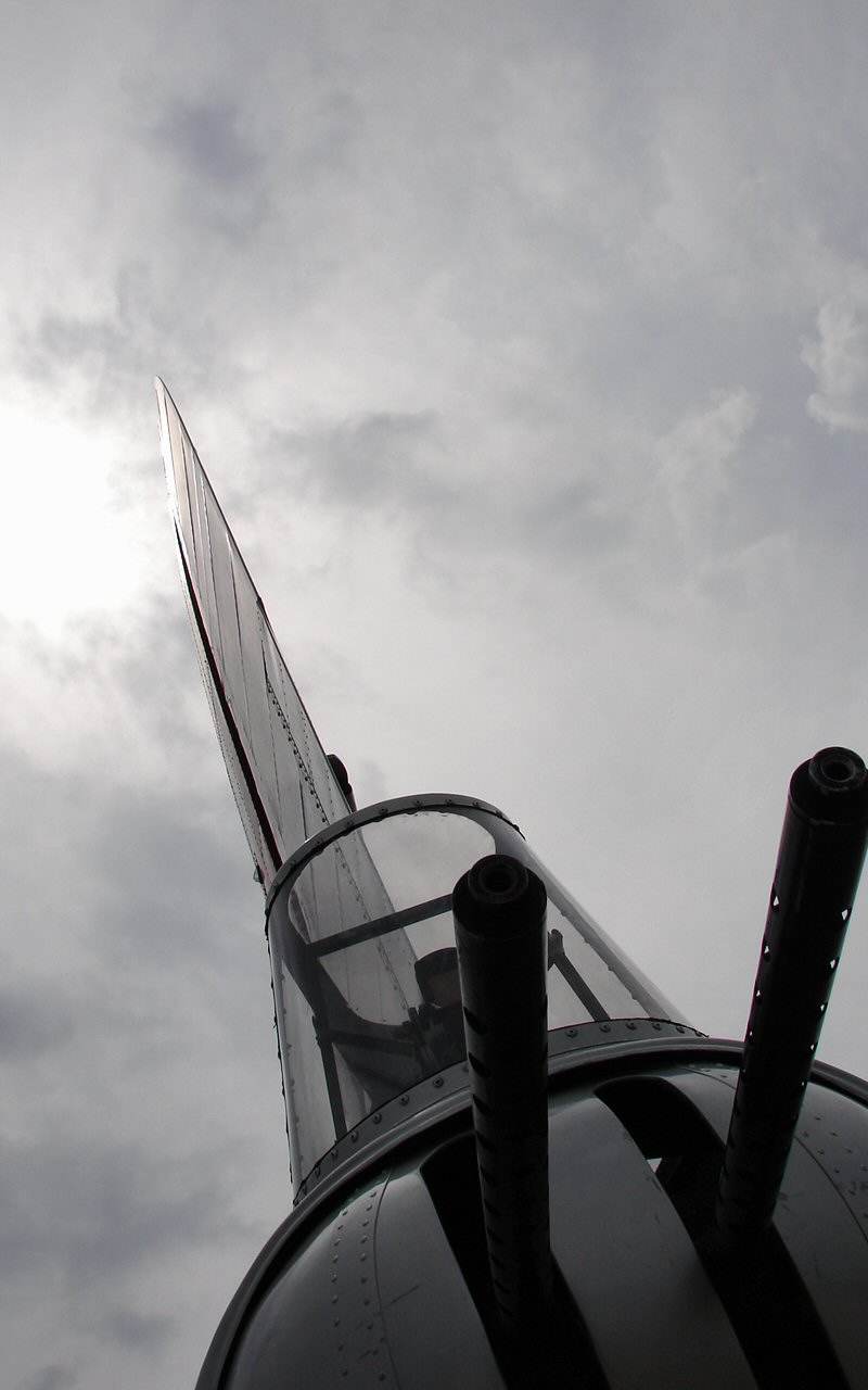  - Warbird