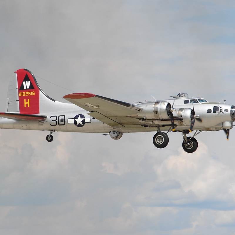  - Warbird