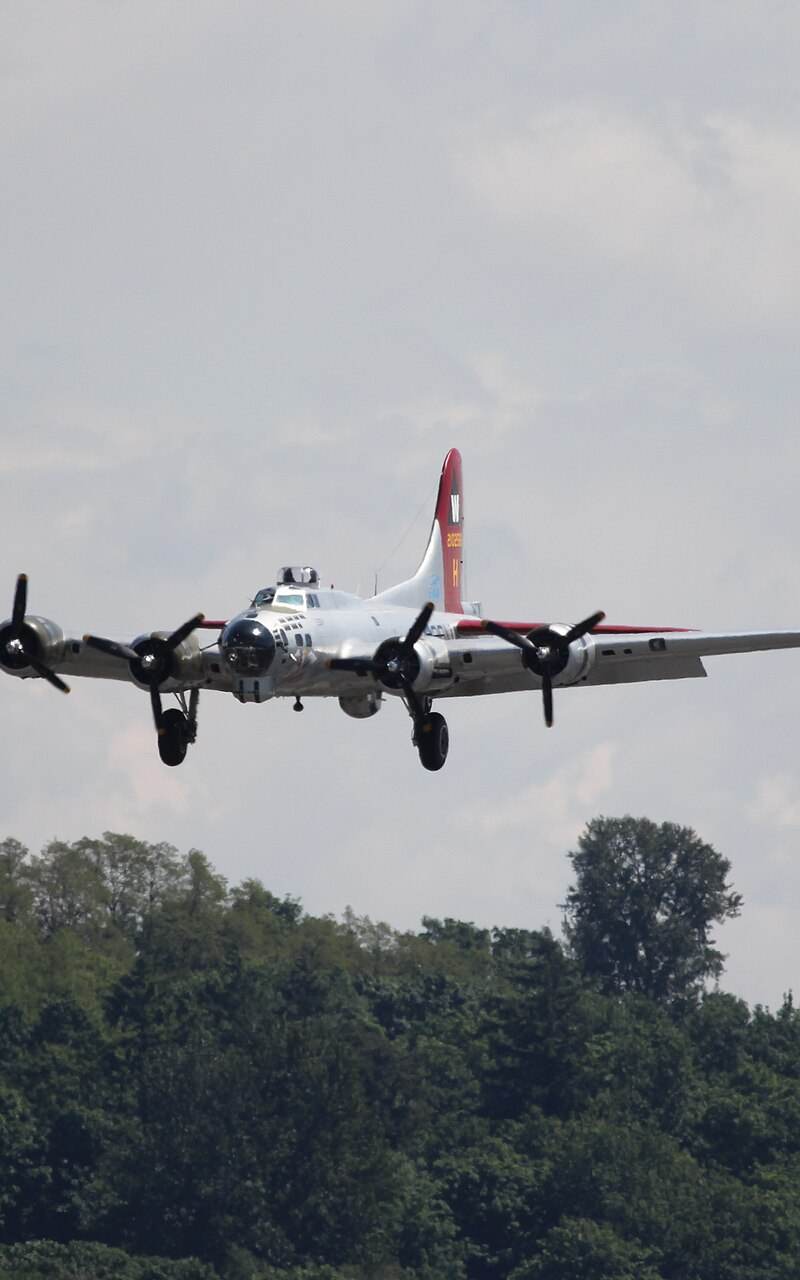  - Warbird