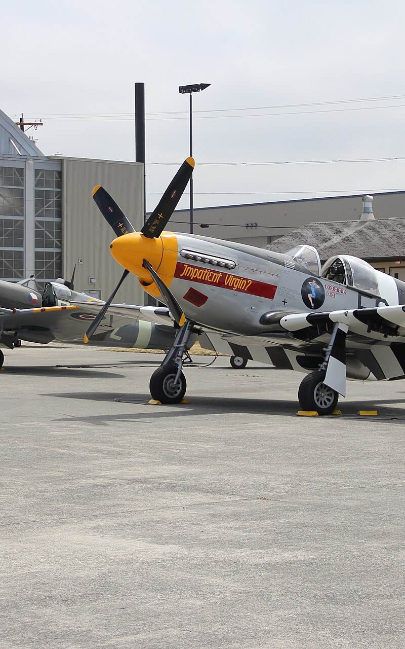 N5087F - Warbird