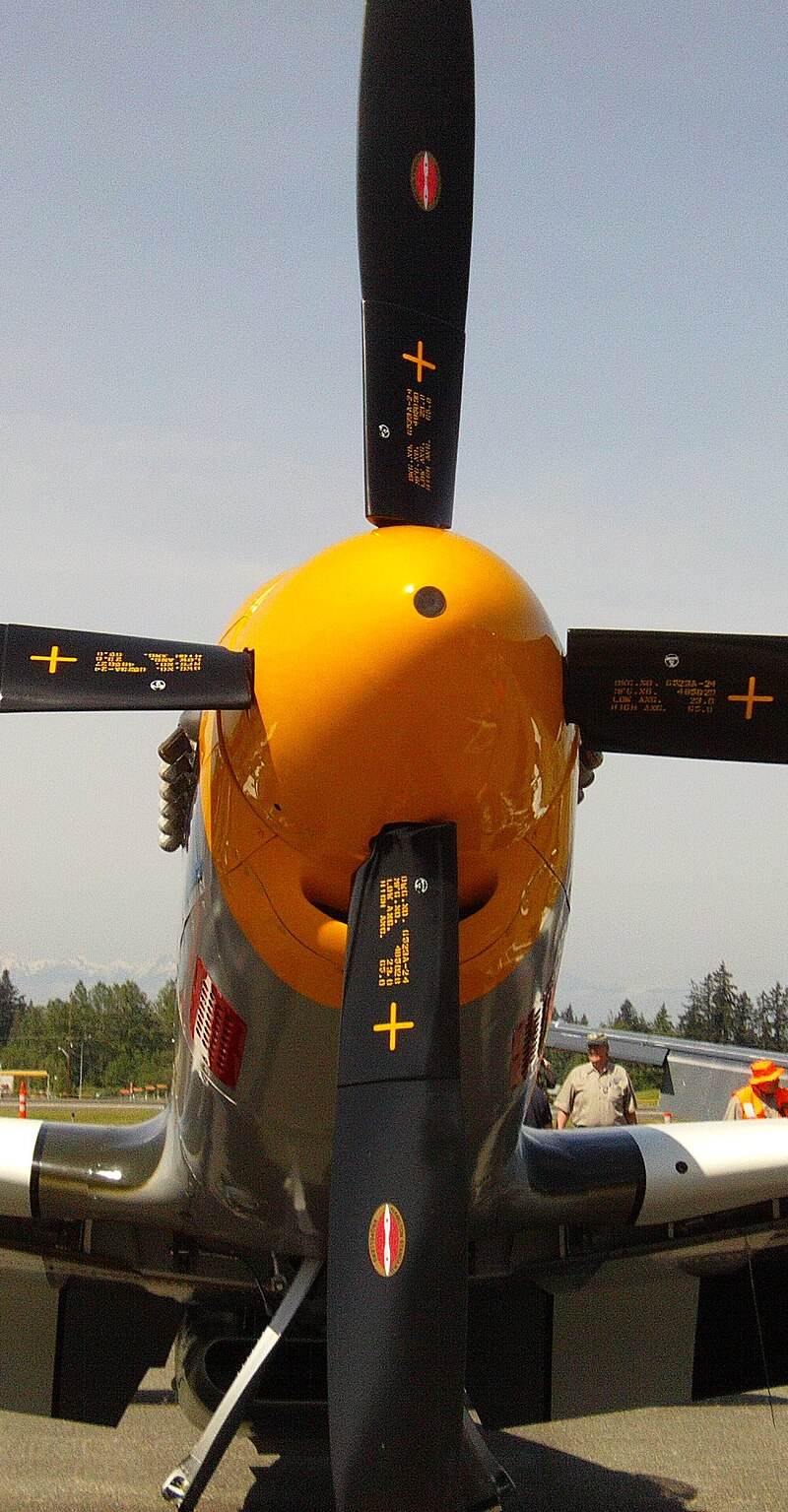 N5087F - Warbird