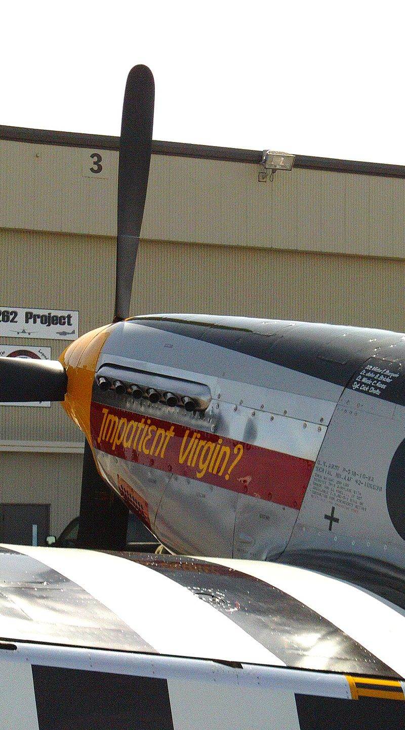 N5087F - Warbird