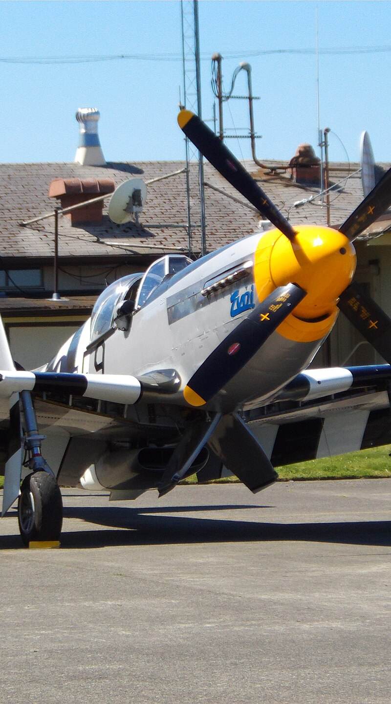 N5087F - Warbird